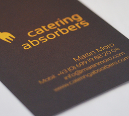 catering absorbers | instrumental, live, niveauvoll:  (© e-dvertising . Suchmaschinenoptimierung)