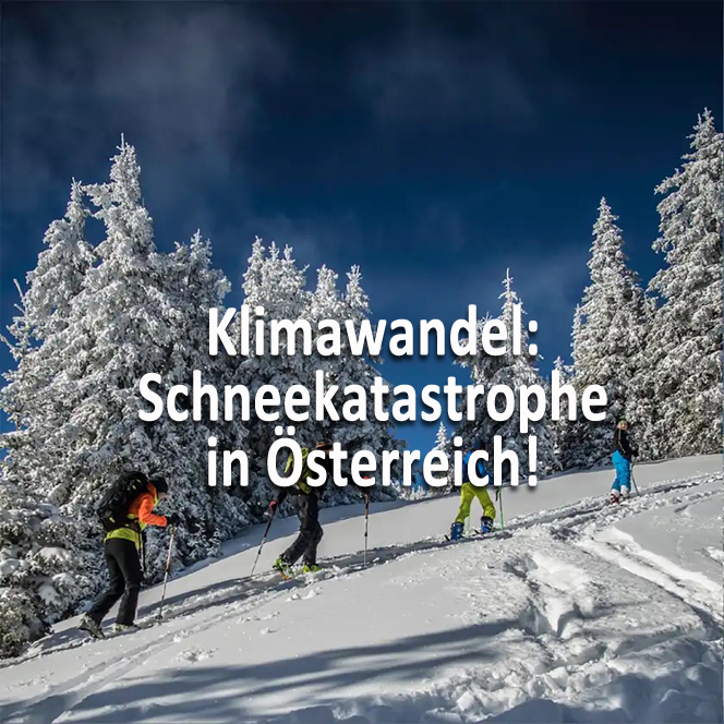 Skitourengeher – Schneekatastrophe © e-dvertising, Ulf Edlinger Vier Skitourengeher wandern einen verschneiten Hang hinauf. Im Hintergrund sind schneebedeckte Nadelbäume und ein tiefblauer Himmel mit leichten Wolken. Der Bildtext lautet „Klimawandel: Schneekatastrophe in Österreich!“