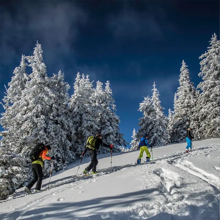 Skitourengeher © Ulf Edlinger, e-dvertising Vier Skitourengeher wandern einen verschneiten Hang hinauf. Im Hintergrund sind schneebedeckte Nadelbäume und ein tiefblauer Himmel mit leichten Wolken.